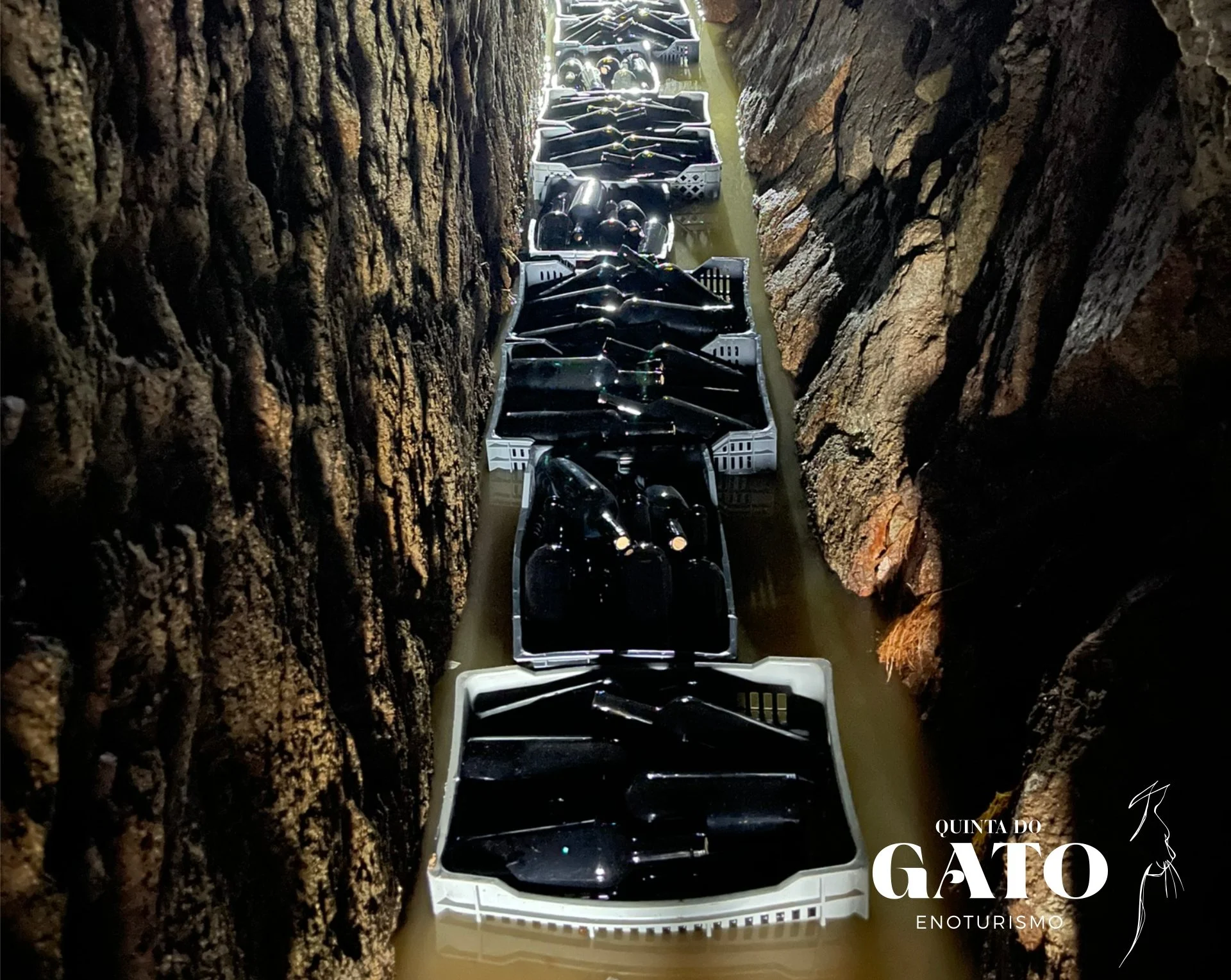 Quinta do Gato inova com estágio de vinhos em mina subterrânea