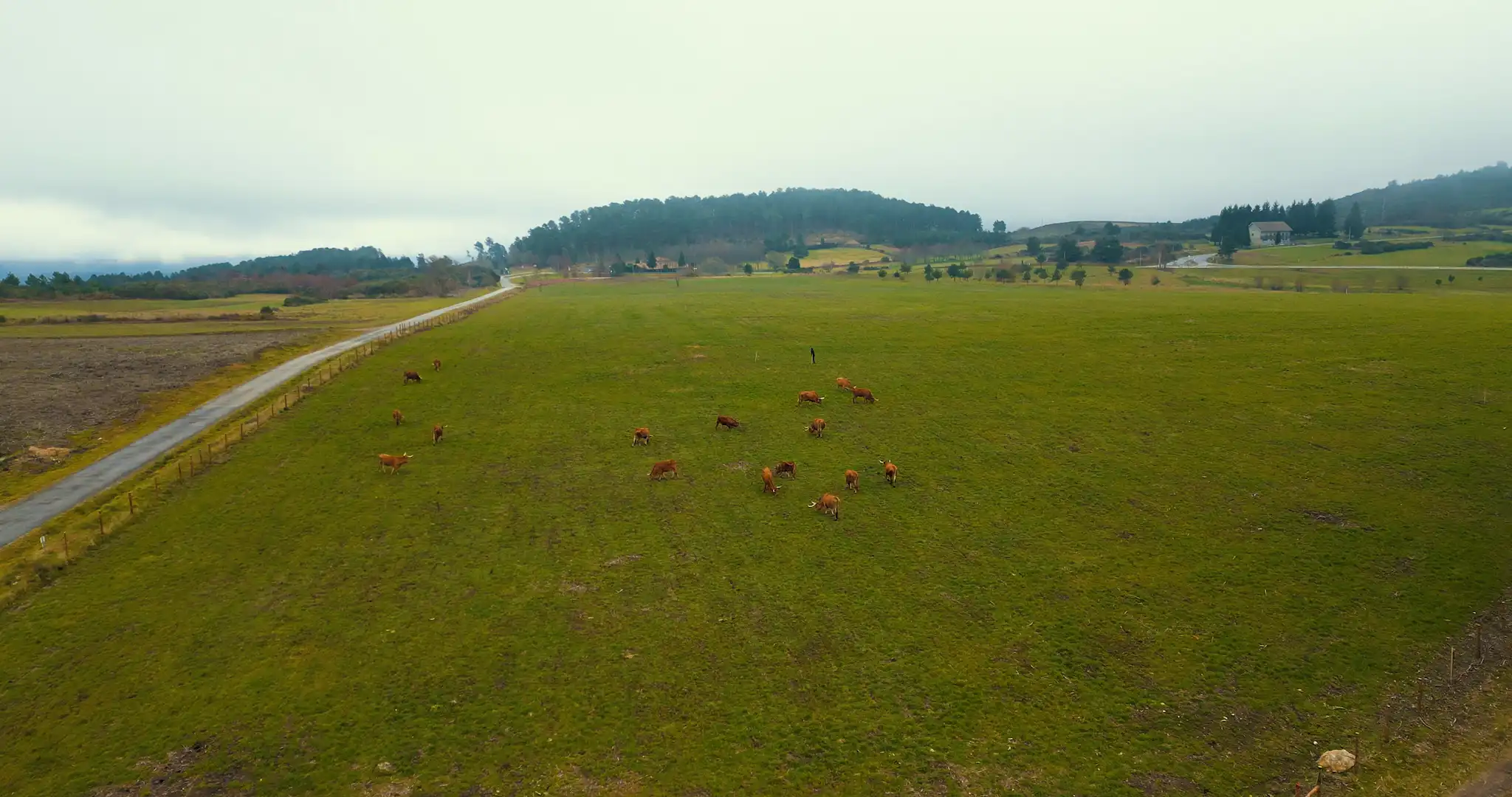 Bel Portugal e WWF Portugal concluem projeto de restauro ecológico no concelho de Boticas