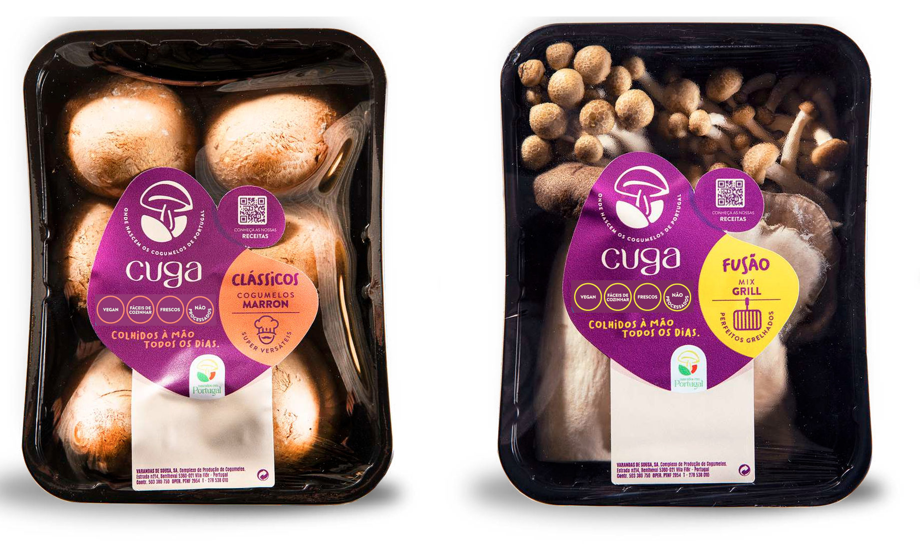 CUGA lança a primeira marca de cogumelos frescos produzidos em Portugal