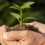 DPD ZERO recuperação de habitats