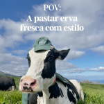 Terra Nostra Pasto Feliz