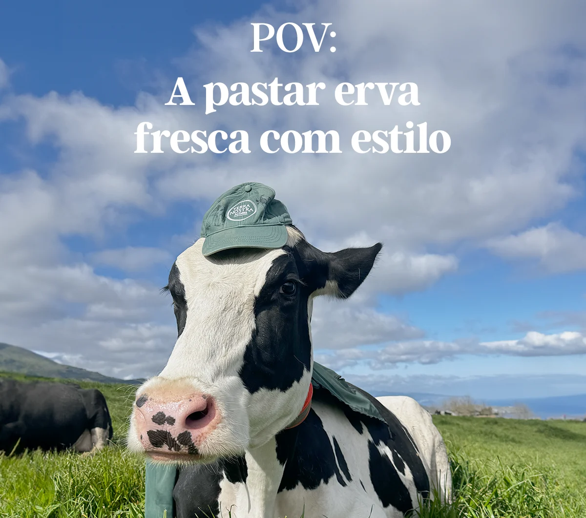 Terra Nostra Pasto Feliz