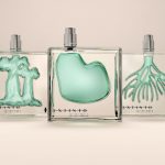 O Boticário alerta para biomas em risco de extinção