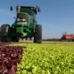 Clube de Produtores Continente CNEMA