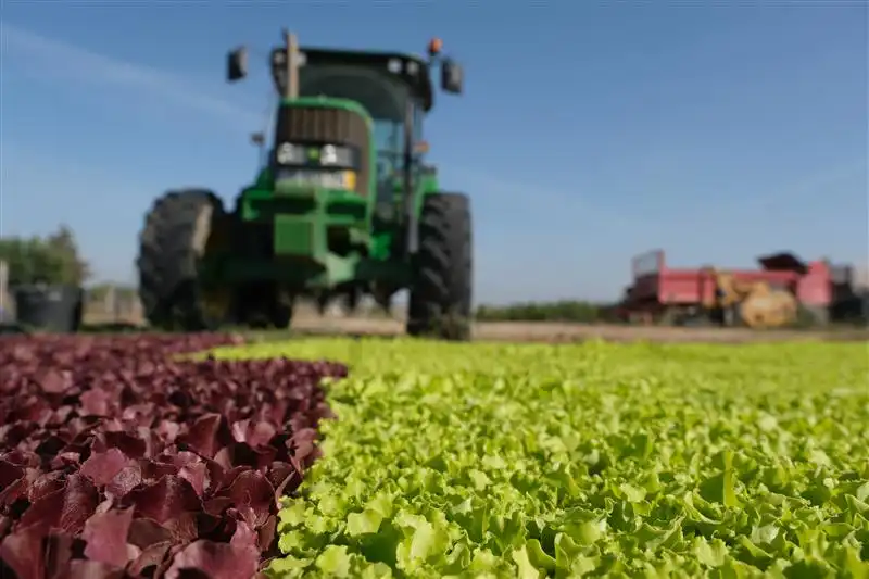 Clube de Produtores Continente vai estar presente na Feira Nacional de Agricultura