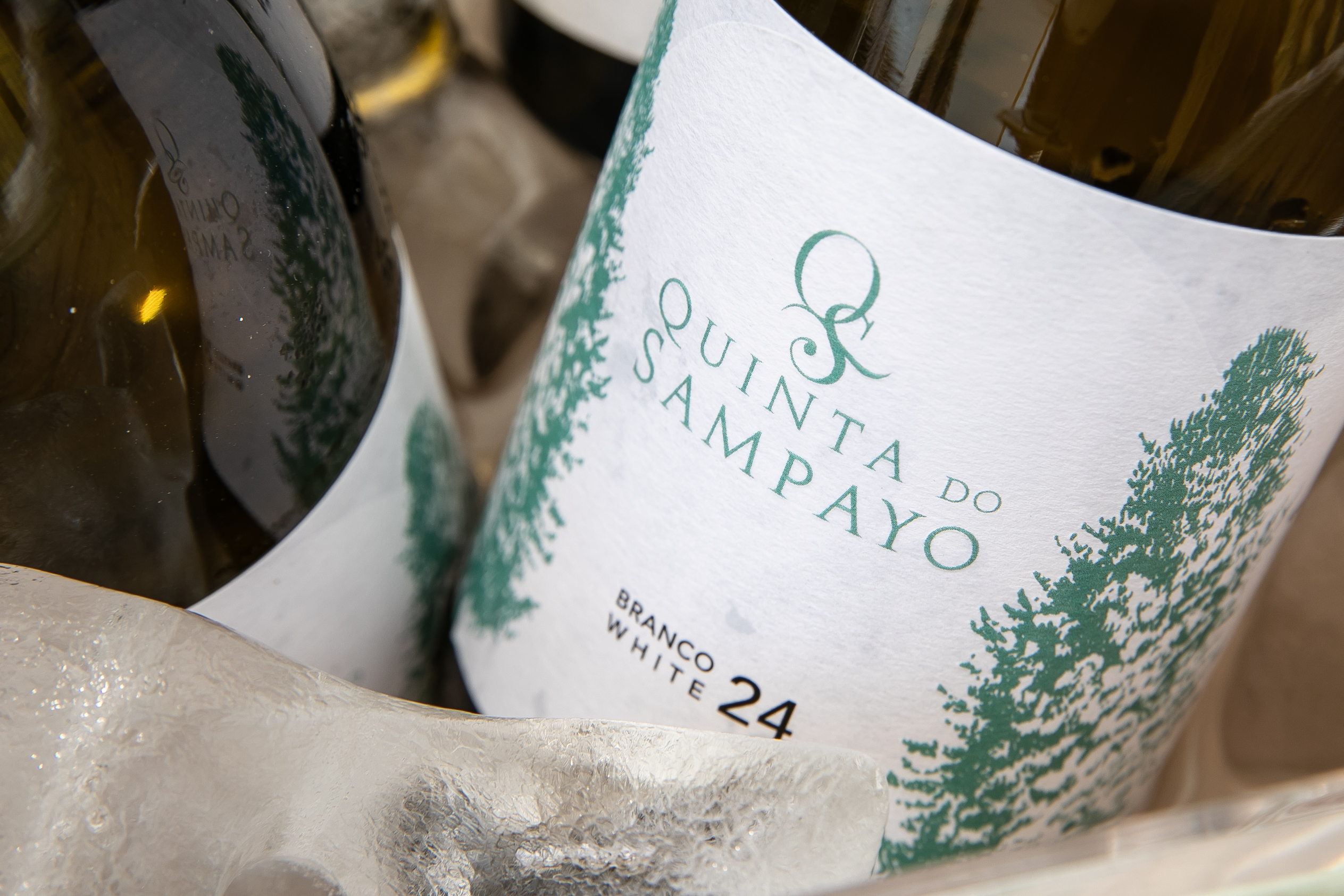 Quinta do Sampayo lança vinho inspirado na região do Tejo