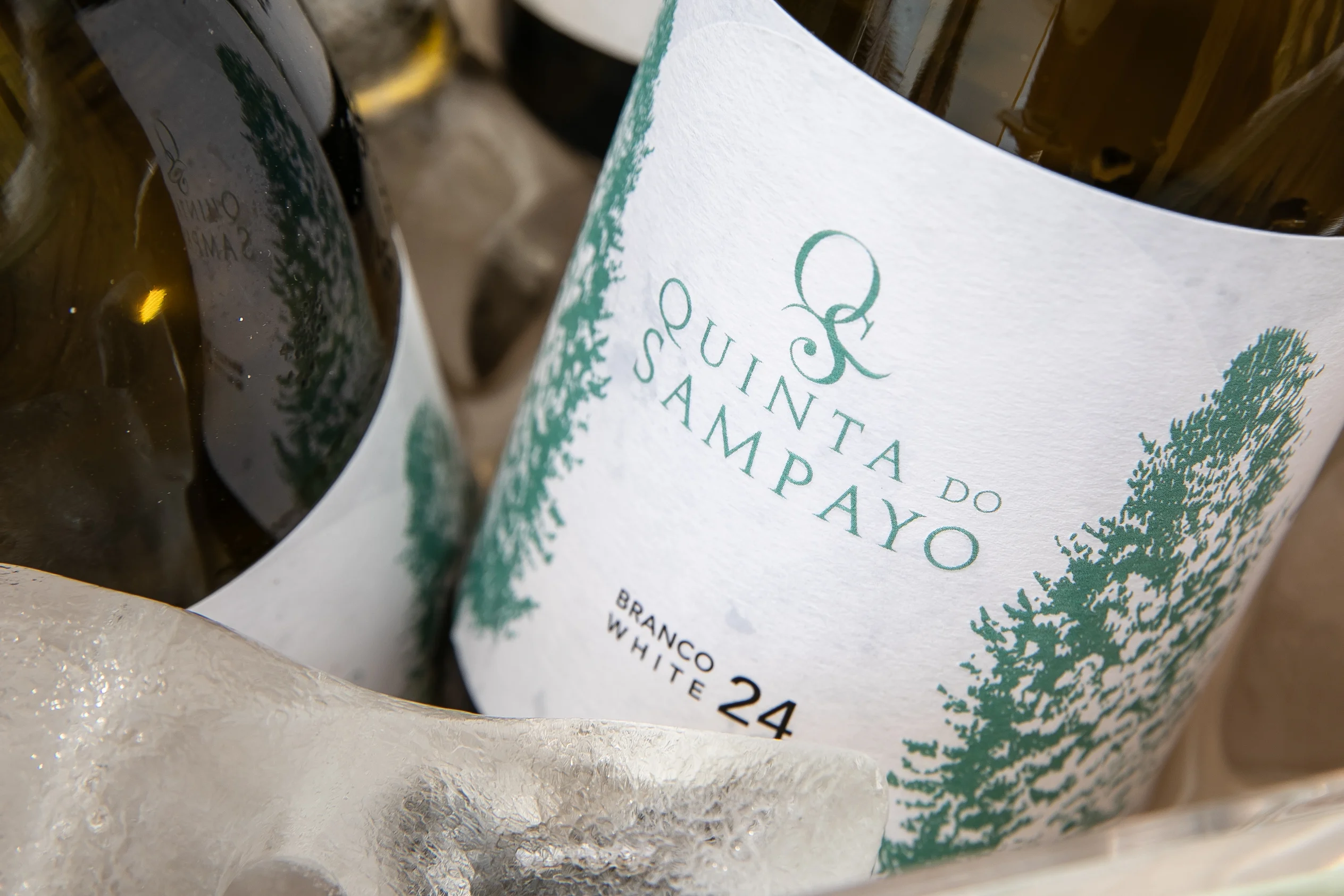 Quinta do Sampayo lança vinho inspirado na região do Tejo