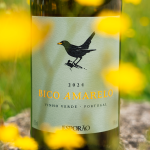 Bico Amarelo branco 2024