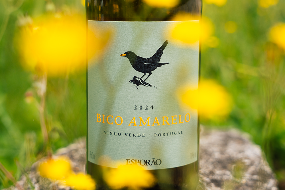 Bico Amarelo branco 2024 chega ao mercado como “o melhor vinho branco português” pelo International Wine Challenge