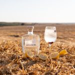 Ervideira G(IN)VISÍVEL