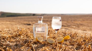 Ervideira G(IN)VISÍVEL