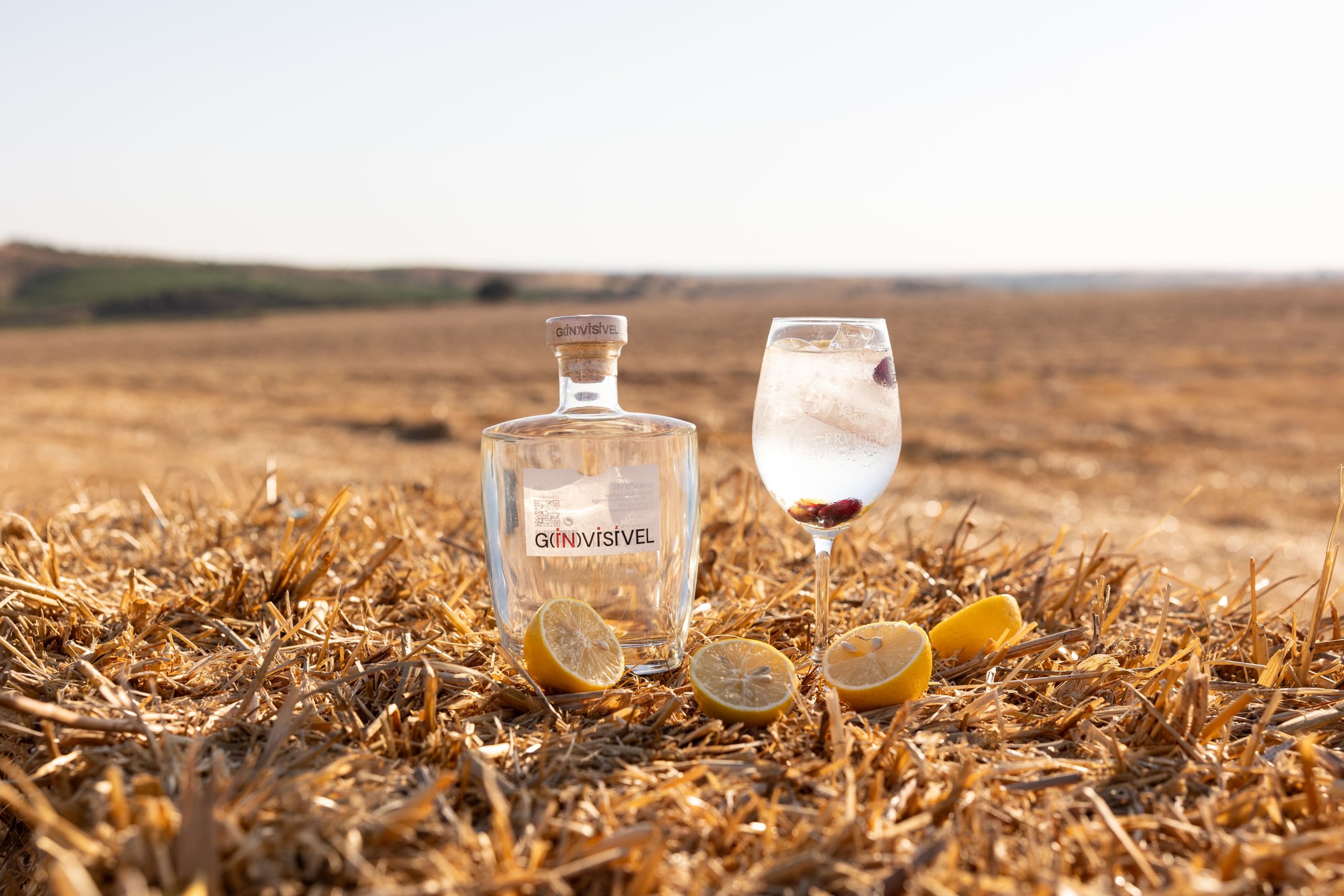 Ervideira lança o novo gin a partir do vinho Invisível
