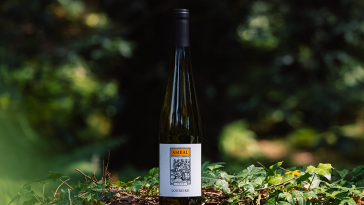 Quinta do Ameal Loureiro 2024