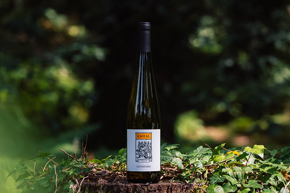 Quinta do Ameal Loureiro 2024