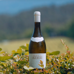 Sogrape Honra 2022