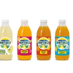 Sumos Montebelo Brasil