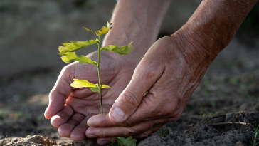 Yves Rocher Índice de Impacto Verde