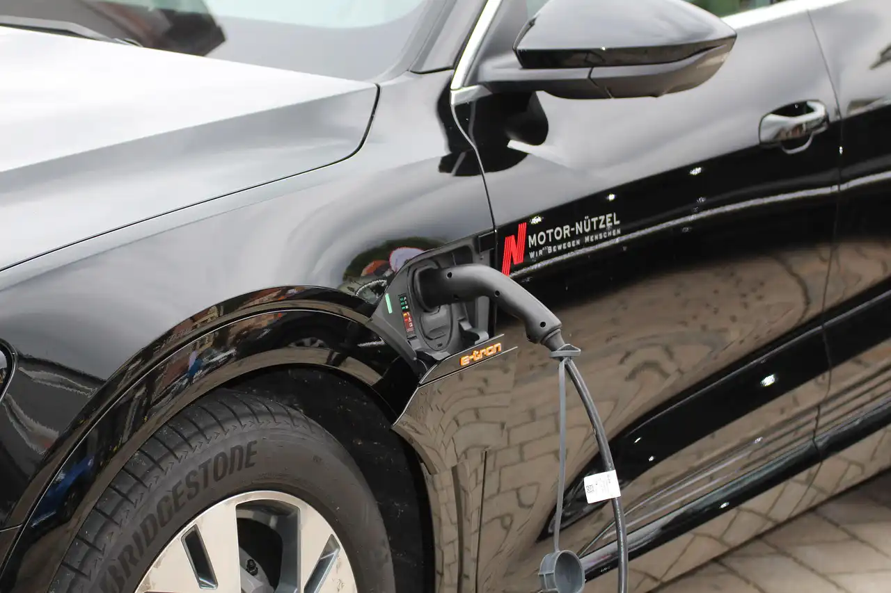 Vendas de carros elétricos recuam na União Europeia em 2024, apesar do crescimento do parque automóvel