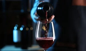 560 e-Label: solução portuguesa simplifica cumprimento da lei europeia no sector do vinho