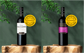 Casa Ermelinda Freitas conquista 11 medalhas de ouro no Concurso de Vinhos Escanções de Portugal