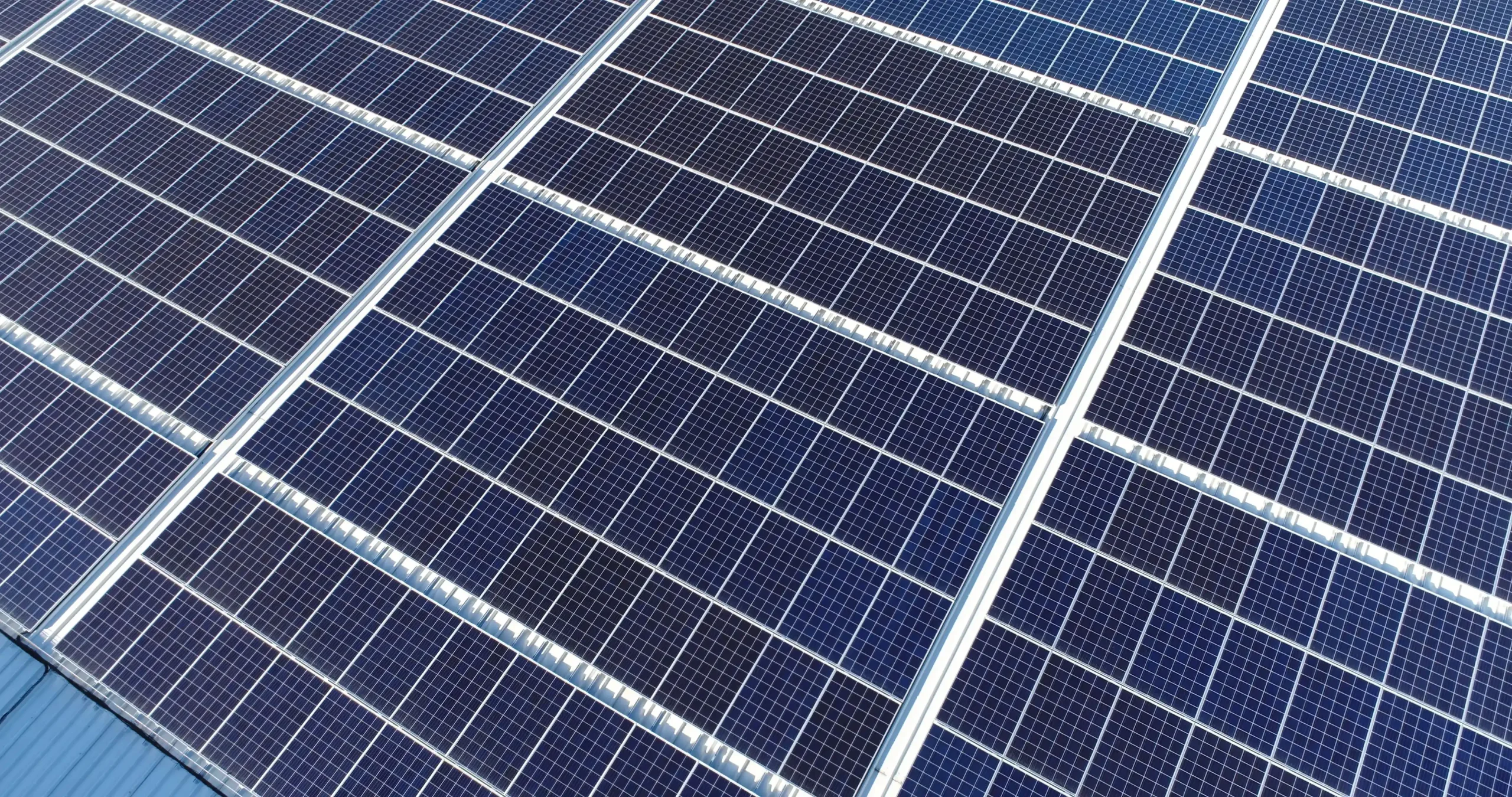 Vitacress investe 300 mil euros em parque solar