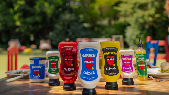 Paladin nova identidade