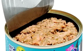 Tu-Nah: a alternativa vegan do Continente ao atum