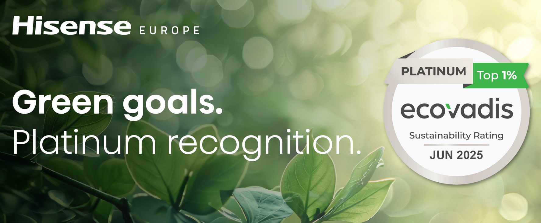 Hisense Europe EcoVadis