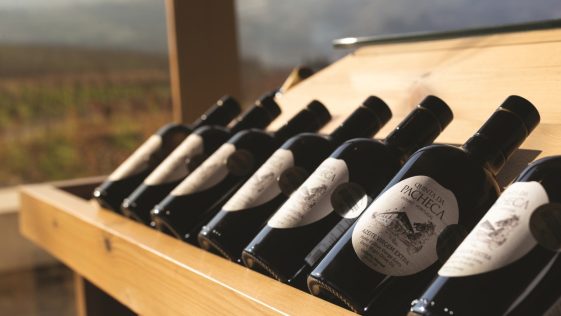 Azeite Quinta da Pacheca