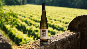 Quinta do Ameal Solo Único 2024