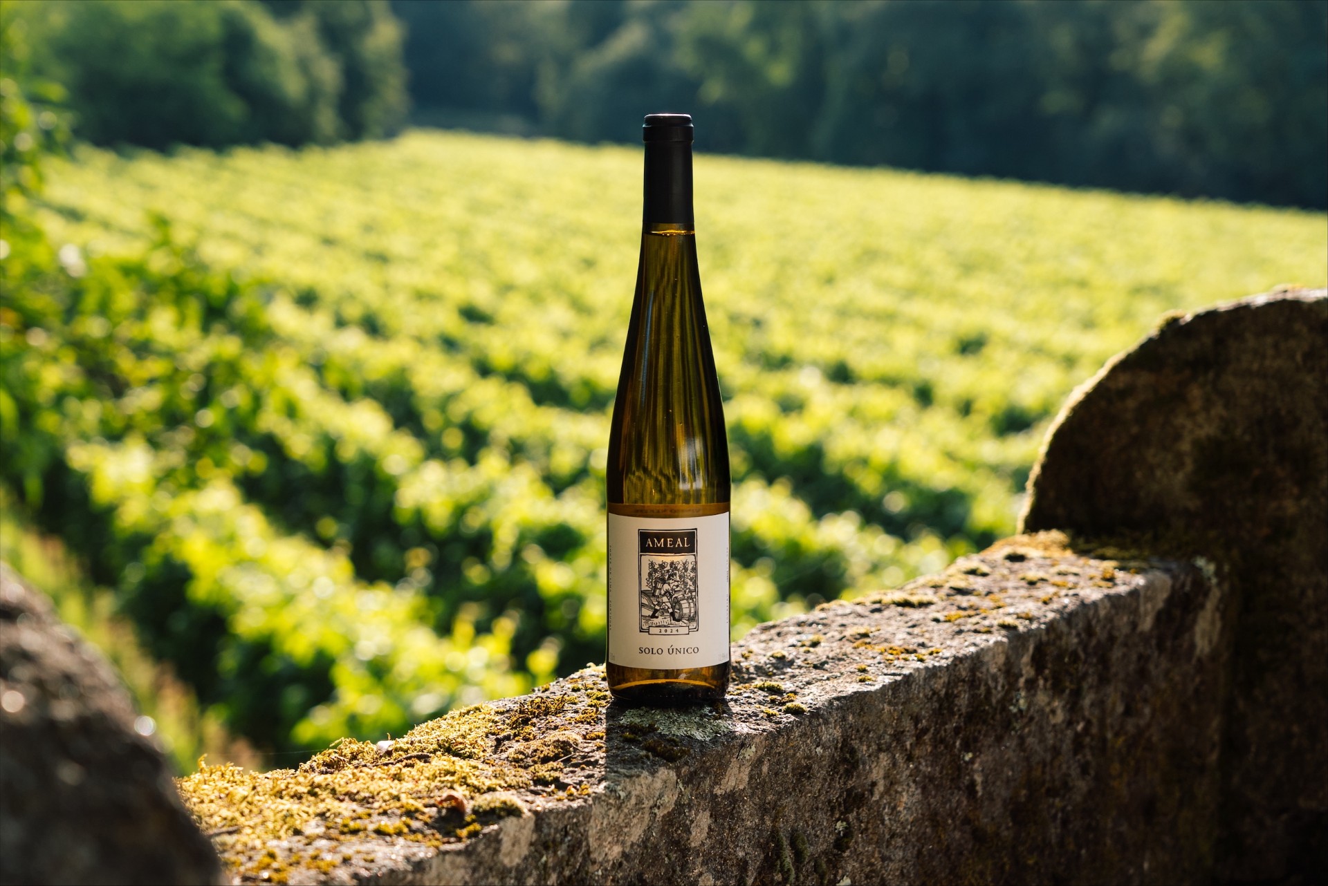 Quinta do Ameal Solo Único 2024
