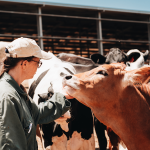 Agroleite Montiqueijo Certificado