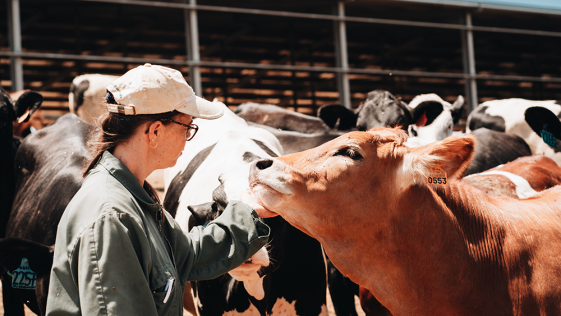 Agroleite Montiqueijo Certificado