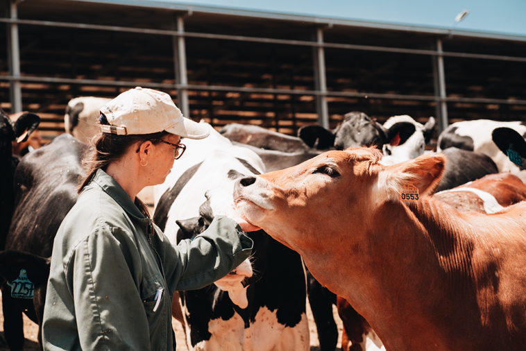 Agroleite Montiqueijo Certificado