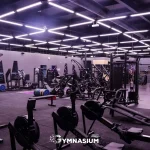 VivaGym