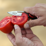 Heinz tomate