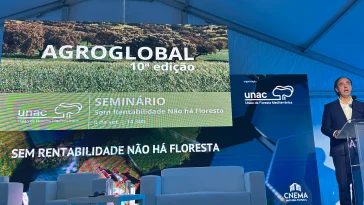 Rui Ladeira - Secretário de Estado das Florestas