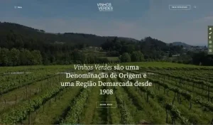 CVRVV novo site