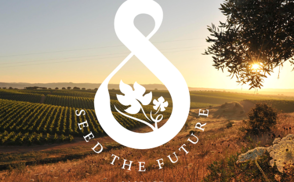 Sogrape avança na sustentabilidade com corte de 13,5% nas emissões em 2024