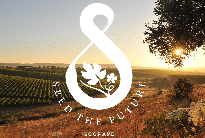 Sogrape avança na sustentabilidade com corte de 13,5% nas emissões em 2024