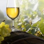 ASAE fiscalização vinhos