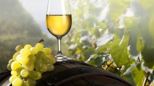 ASAE fiscalização vinhos
