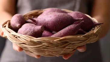 ingredientes emergentes batata doce