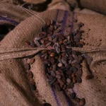 Bean to Bar Portugal chocolate