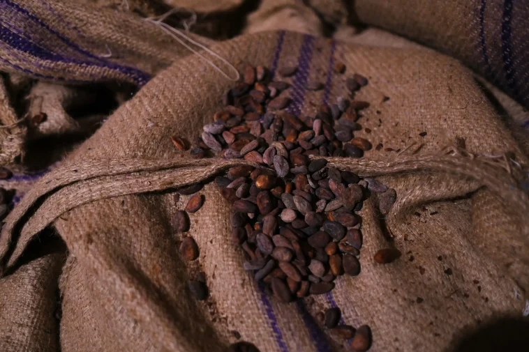 Bean to Bar Portugal chocolate