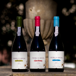 Vieira de Sousa Tinto Cão