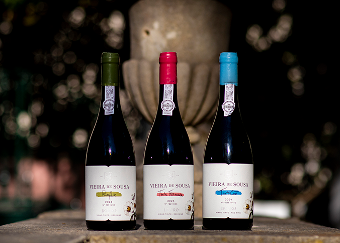 Vieira de Sousa Tinto Cão