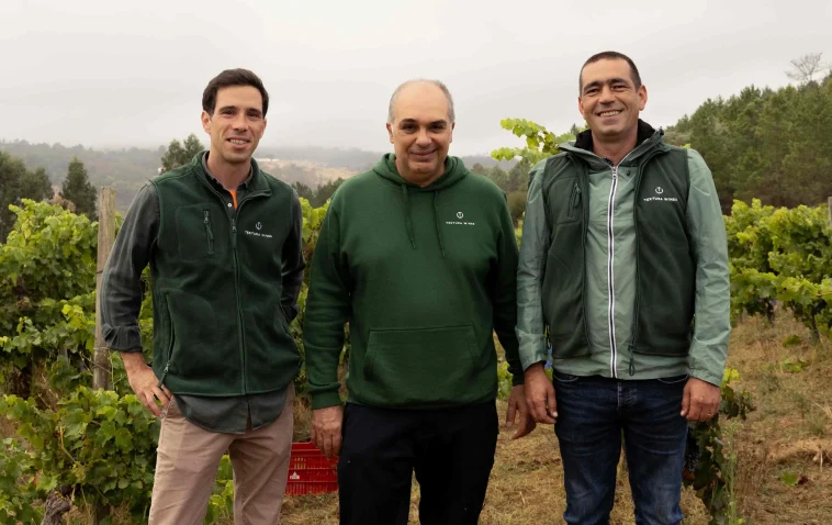 Textura Wines