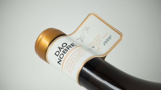 Casa de Santar Dão Nobre