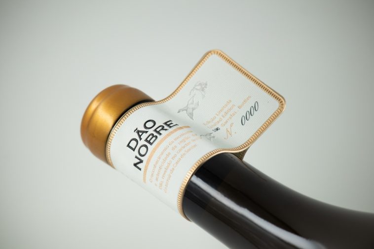 Casa de Santar Dão Nobre